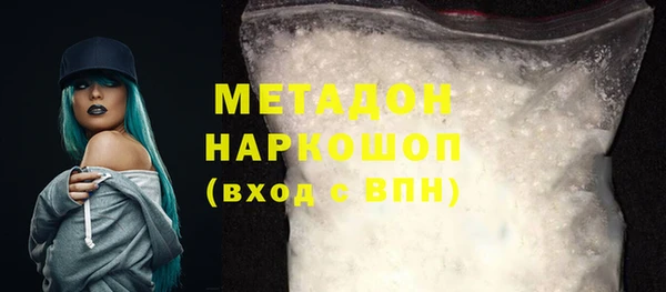 мдпв Ельня
