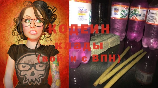 мдпв Ельня