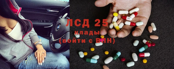 мдпв Ельня