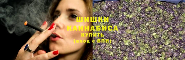 мдпв Ельня