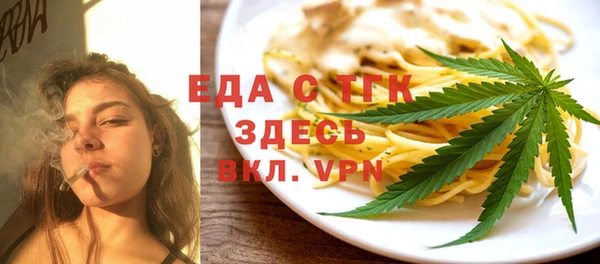 мдпв Ельня