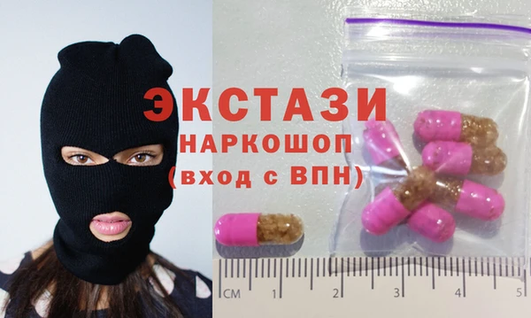 мдпв Ельня
