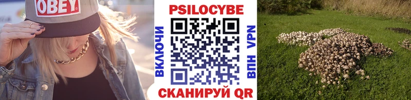 kraken маркетплейс  Новоржев  Галлюциногенные грибы GOLDEN TEACHER 